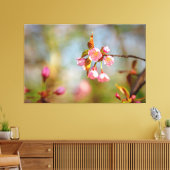 Zachte Roze Zachte Kersenbloesem in de Lente Canvas Afdruk (Insitu (Woonkamer))