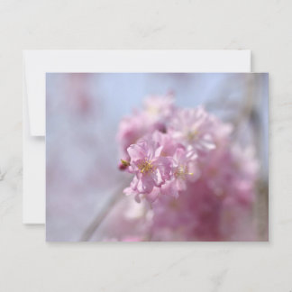 Zachte Sakura Whispers Briefkaart