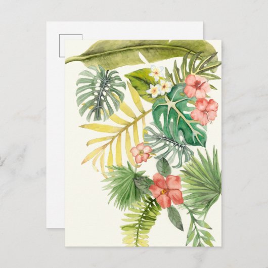 Zachte tropen briefkaart (Voorkant / Achterkant)