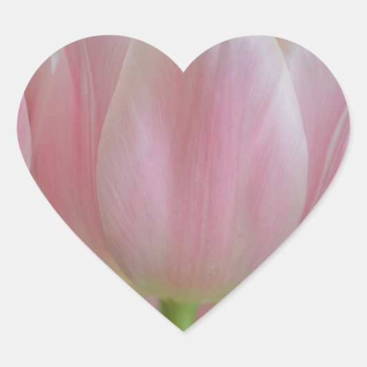 Zachte tulpen hart sticker (Voorkant)