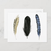 Zachte veren I Briefkaart (Voorkant / Achterkant)