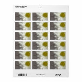 Zachte Witte Dagen Weddenschap Hartelijk dank voor Etiket (Full Sheet)