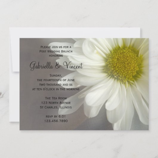 Zachte Witte Madelief op Grijze Achtergrond Bruilo Kaart (Voorkant)