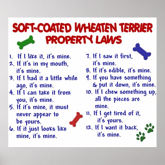 ZACHTE WITTE TERRIER PL2 POSTER (Voorkant)