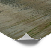 Zachte zeeduivel graffiti poster (Hoek)