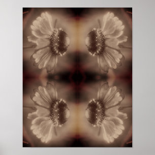 Zachte Zinnia Daisy Flower in Sepia Abstract Poster