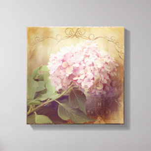 Zachte zomer 2 Roze hydrangeas Floral Canvas Afdruk