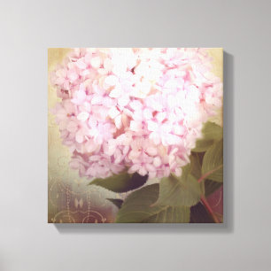 Zachte zomer 2 Zongvogels Roze hydrangea Floral Canvas Afdruk