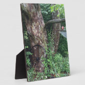 Zachte zomerregen fotoplaat (Zijkant)