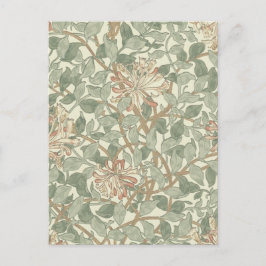 Zachtegroene vintage William Morris kamperfoelie Briefkaart