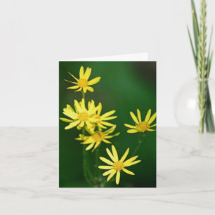 Zachtgele wilde bloemen fotografie notitiekaartje