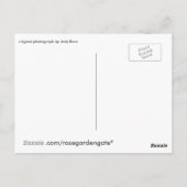 Zachtheid, een ziel voedsel, briefkaart (Achterkant)