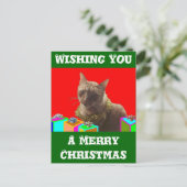 Zack de Kat van Kerstmis Feestdagenkaart (Staand voorkant)