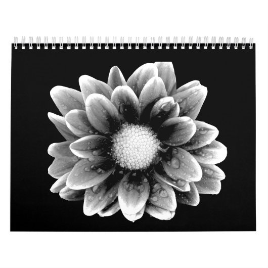 Zad Flower Kalender (Hoes)