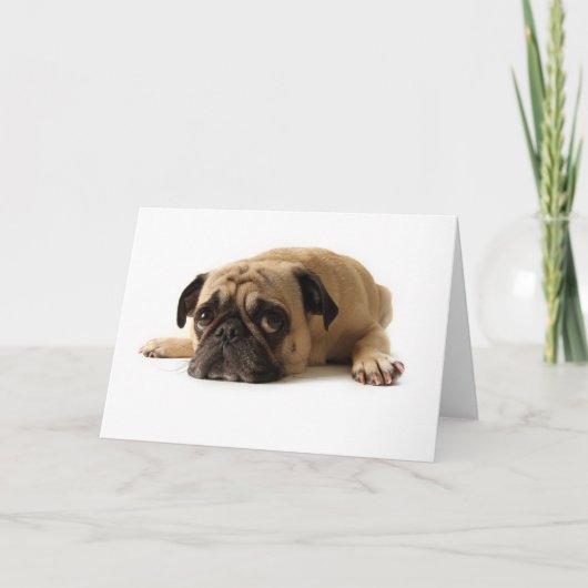 Zad Pug Kaart (Voorkant)