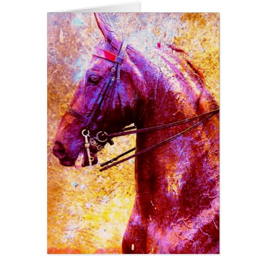 Zaddlesat Grunge (Voorkant)