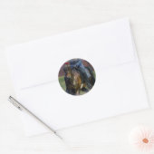 Zaddlesat Ronde Sticker (Envelop)