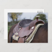 Zadel op een paard briefkaart (Voorkant / Achterkant)