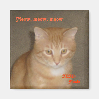 Zadelijk gezicht magneet