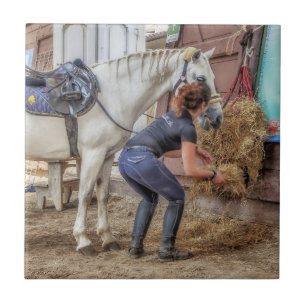 Zadelpaard op de voedertijd tegeltje