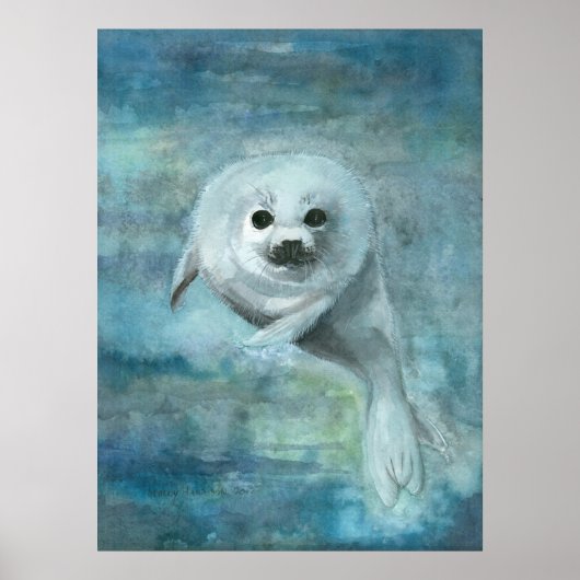 Zadelrob Aquarel Kunst Poster (Voorkant)