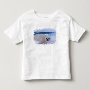 Zadelrob Noord-Amerika, Canada, Quebec Kinder Shirts