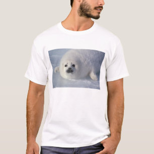 Zadelrob Phoca groenlandica) Een week-oude zadelro T-shirt
