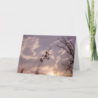 Zaden in Vroege Avond Kaart
