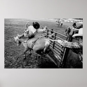 Zadle Bronc Rider, zwart-wit Poster