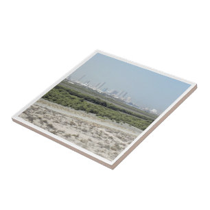 zAE009 UMM AL-QAYWAY panorama, Tegeltje