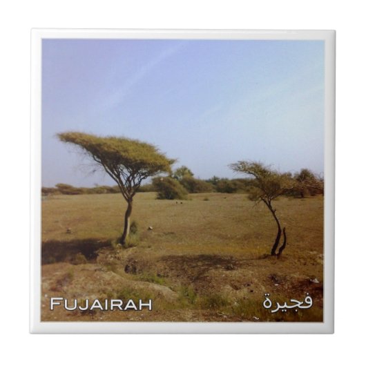 zAE033 FUJAIRAH natuur, VAE, Azië, Tegeltje (Voorkant)