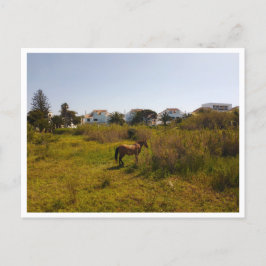 Zahara de los Atunes, Andalusië (Spanje) Briefkaart