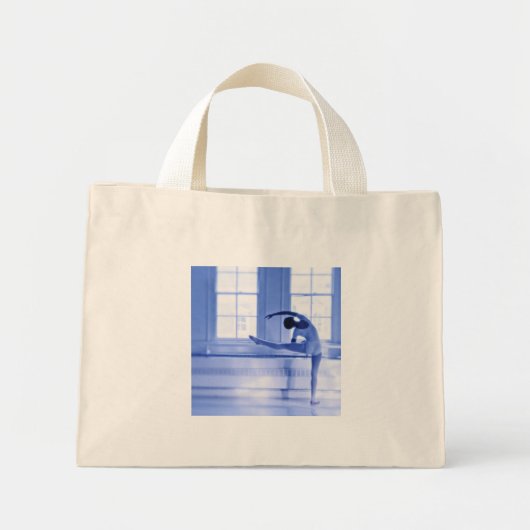 ZAK BALLET MINI TOTE BAG (Voorkant)
