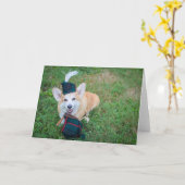 Zakpijp Corgi lege wenskaart Kaart (Gele Bloem)