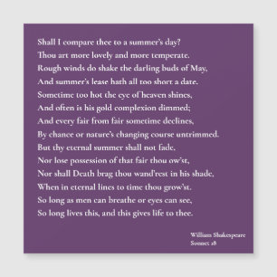 Zal ik dit vergelijken met een zomerdag? sonnet 18