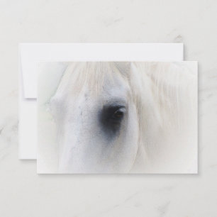 Zalig Paard