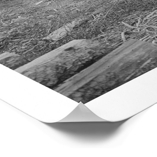 Zalm drogen in Alaska 1915 Poster (Hoek)