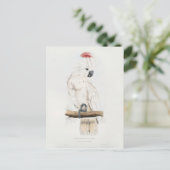 Zalm-kuif Kaketoe Briefkaart (Staand voorkant)