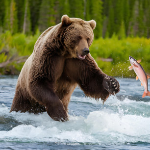 Zalm Vist Grizzly Beer Legpuzzel