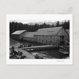 Zalmkankerij nabij Ketchikan, Alaska Briefkaart