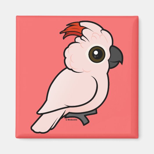 Zalmkruid Cockato Magneet (Voorkant)