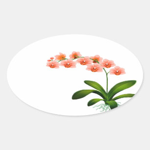 Zalmroze Phalaenopsis Orchid Flowers Stickers
