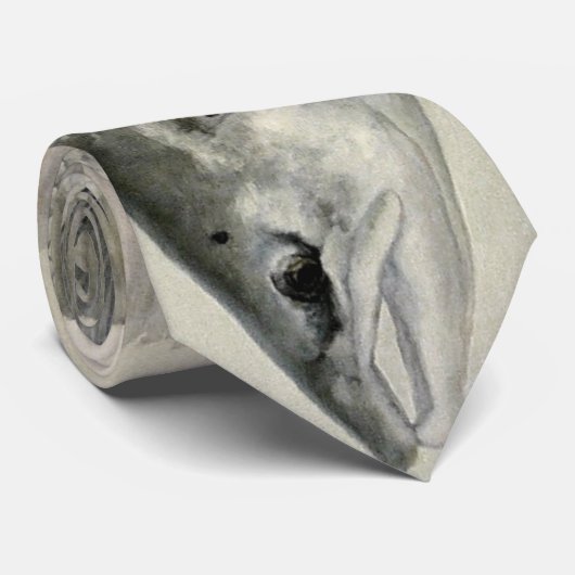 Zalmstropdas Stropdas (Opgerold)