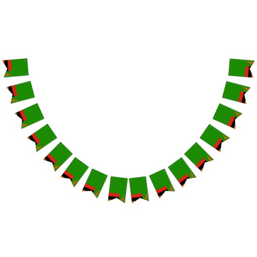 Zambia Flag Vlaggetjes (Alle)