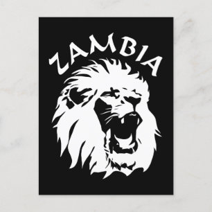 Zambia Lion Briefkaart