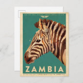 Zambia-Zebra Briefkaart (Voorkant / Achterkant)