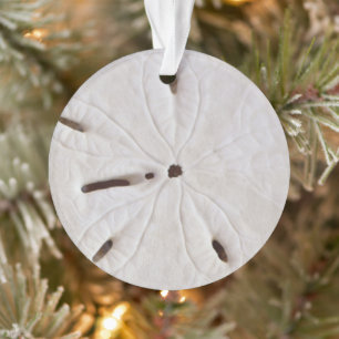 Zand Dollar Beach Coastal White Round Trendy 2020 Ornament