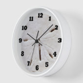 Zand Dollar Beach Seashells Beach Trendy Gift (Hoek)