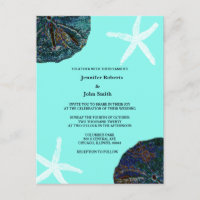 Zand Dollar Sea Shells Blauwgroen Abstract Strand 