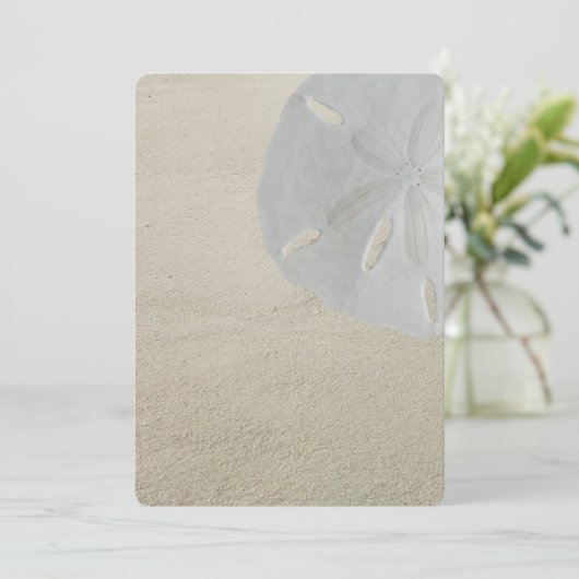 Zand Dollar Strand Blank Programma Fan Paper (Staand voorkant)